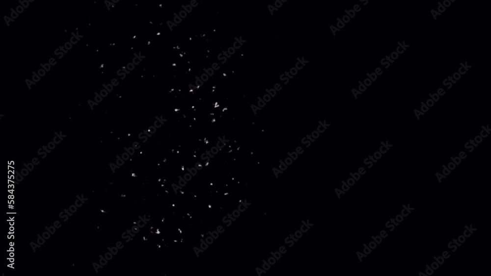 Snow blowing explosion isolated on alpha background in 4K Snow blowing explosion isolated on alpha background in 4K
