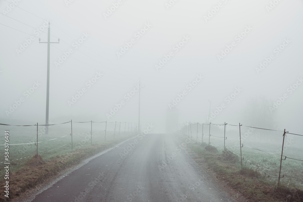 Empty rural road passing by forest on foggy day Empty rural road passing by forest on foggy day