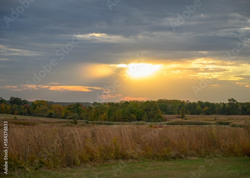 Scenic view of a meadow against green forest at a cloudy sunset