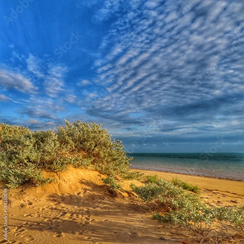 Fototapeta Naklejka Na Ścianę i Meble -  Australien Düne und Meer