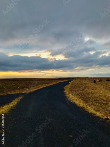 Obraz na płótnie Route isolée en Islande w salonie
