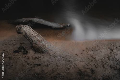 Close-up shot of a log stranded at a sandy beach near water with long exposure