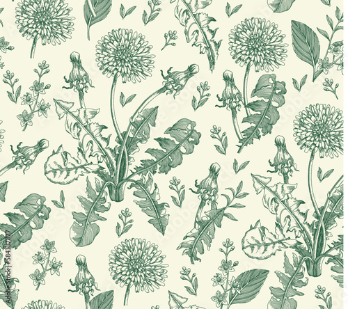 Seamless pattern Dandelion. Beautiful blooming realistic isolated flowers. Vintage background fabric wildflowers. Wallpaper baroque. Drawing engraving. Vector illustration
