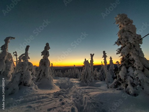 Hike to mountain Smrk in Beskydy, Czech; sunshine in mountains, forest with snow