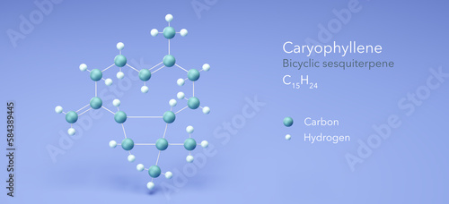 caryophyllene molecule, molecular structures, beta-caryophyllene, 3d model, Structural Chemical Formula and Atoms with Color Coding photo