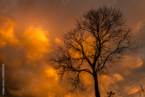 Fim de tarde na Serra do Gandarela