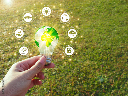 Renewable energy, Electricity, Sustainability concept. Hand holding a light bulb on green lawn background with copy space.