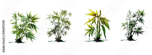 Background with bamboo  bamboo stalk and leaves  soap and bath salt Cosmetic and medical plant