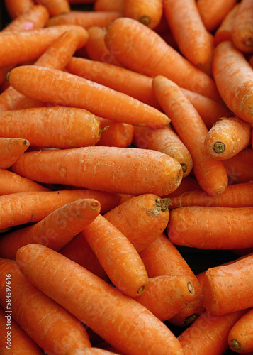 Close up heap of fresh new carrot crop