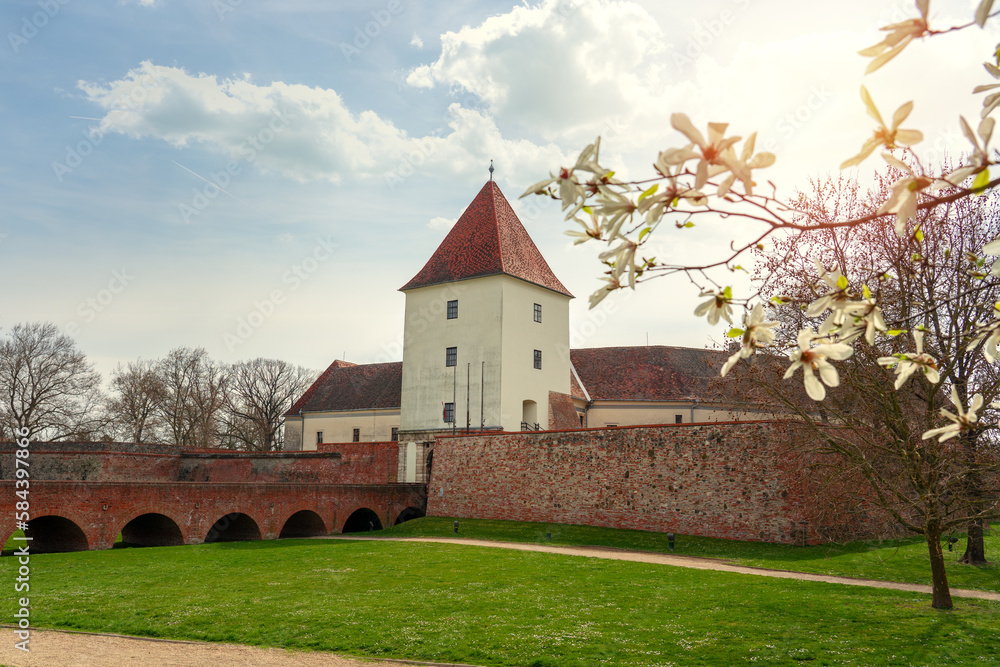 blooming tree spring time next to Sarvar castle in Hungary blooming tree spring time next to Sarvar castle in Hungary