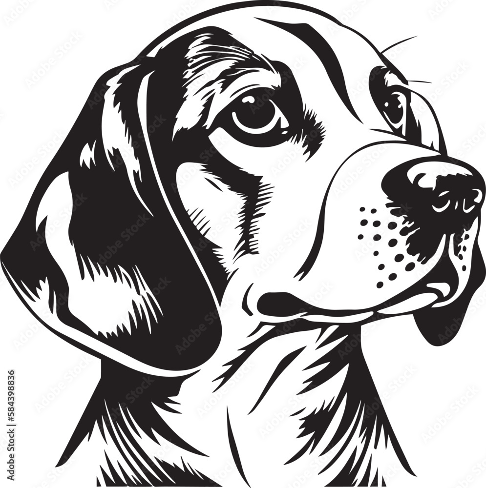 Beagle face isolated on a white background, SVG, Vector, Illustration. Beagle face isolated on a white background, SVG, Vector, Illustration.