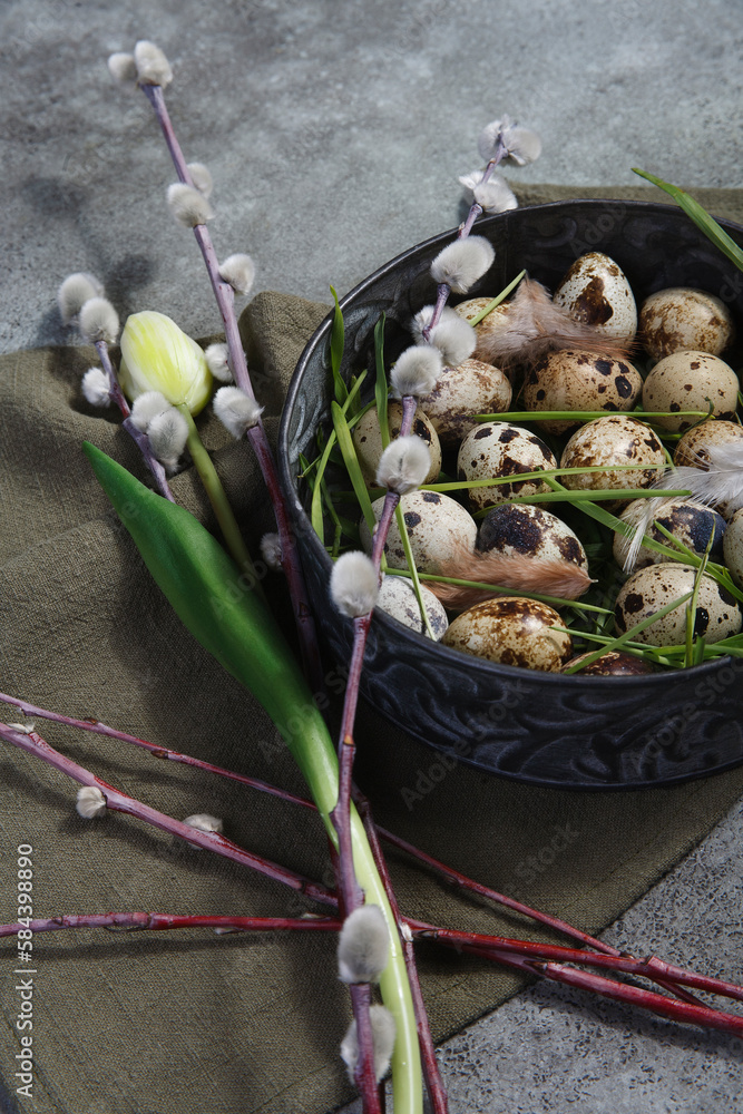 Quail eggs in metal rustic bowl with willow branches and white tulip, Easter decor concept.