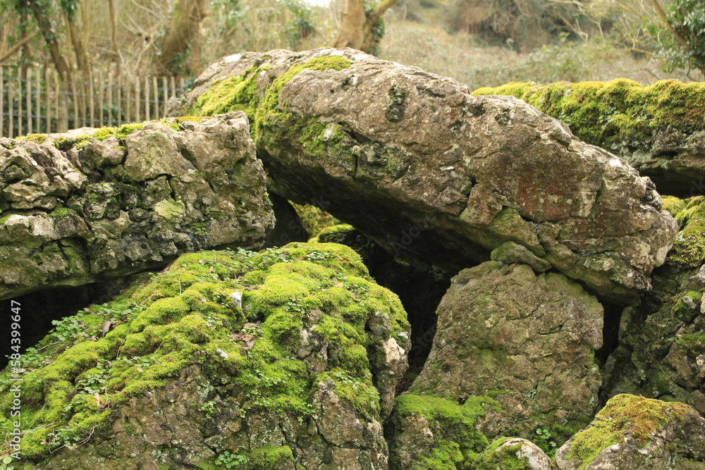 Lough Gur Wedge Tomb. Green moss on ancient Celtic stones background (County Limerick, Ireland). Also known as Giant's Grave, this ancient burial site was excavated in 1938
