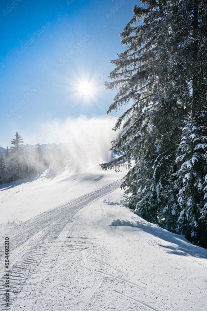Obraz premium Winter forest in Seefeld, Austria