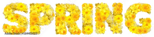 word spring with yellow flowers