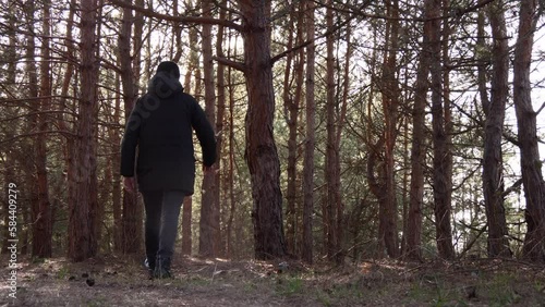 Wallpaper Mural a man walks through a pine forest Torontodigital.ca