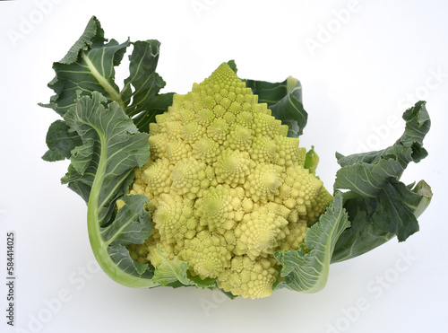 Romanesco, Brassica, oleracea