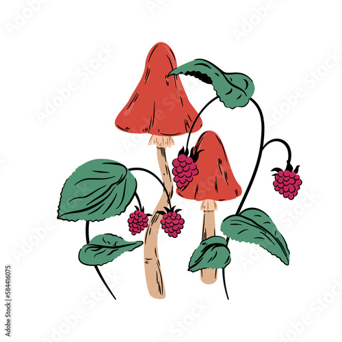 Muchomor i krzaki malin. Grzyby z czerwonymi kapeluszami i soczyste maliny na krzaczku. Leśna kompozycja botaniczna. photo