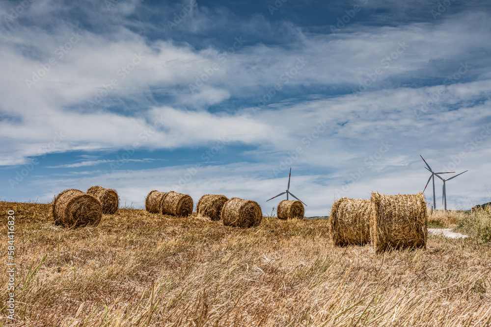 Hay bale field, Sicily