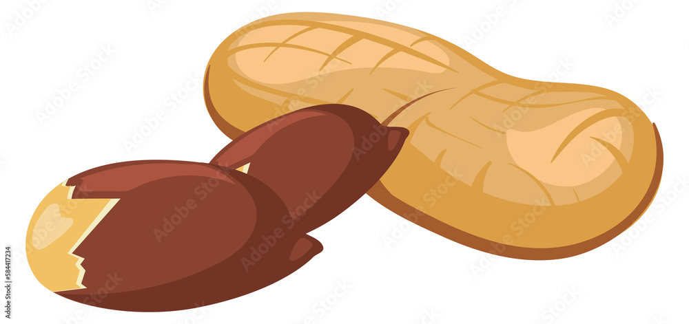 Peanut icon. Cartoon nutshell and peeled nut