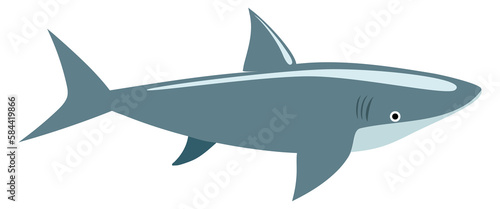 Shark color icon. Underwater fauna. Wild predator