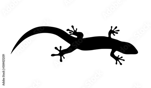 Lizard illustration on white background © Liaurinko