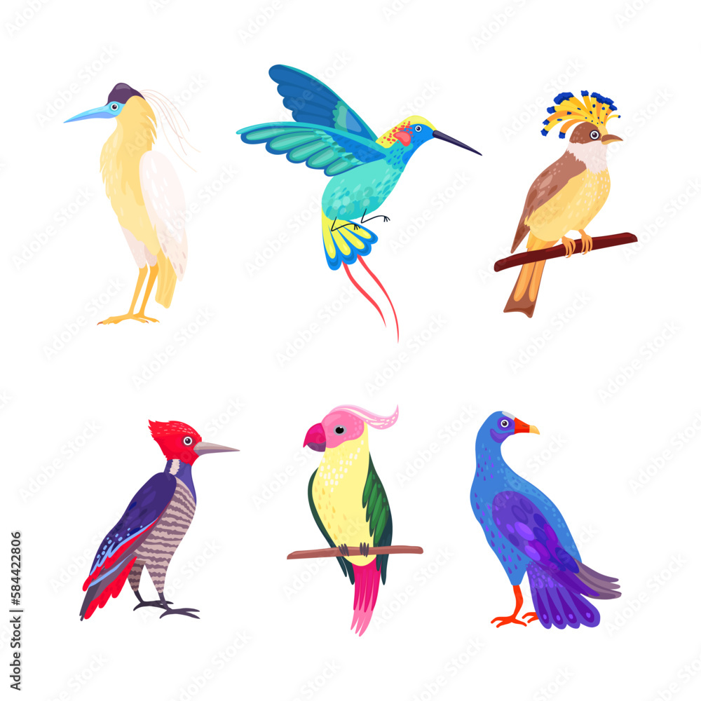 Tropical Bird with Bright Feathers Sitting on Tree Branch Vector Illustration Set Tropical Bird with Bright Feathers Sitting on Tree Branch Vector Illustration Set