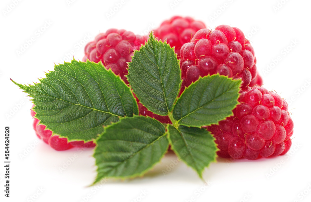 Raspberries and leaves. Raspberries and leaves.