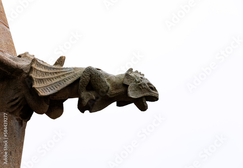 Iguana en el panteón © kaplan69