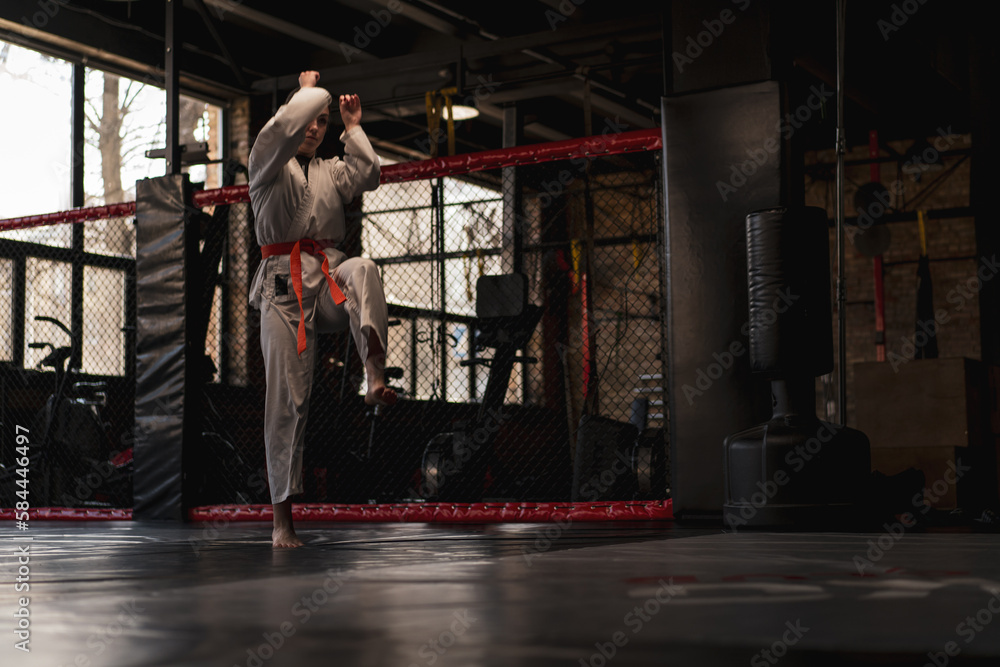 Fototapeta premium A girl practices karate in a gym A woman in kimono practices movements and poses Martial arts