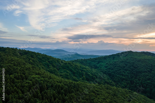 Aerial view of green pine forest with dark spruce trees covering mountain hills. Nothern woodland scenery from above