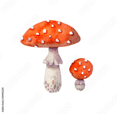 Watercolor fly agaric mushroom. Hand-drawn illustration isolated on the white background.