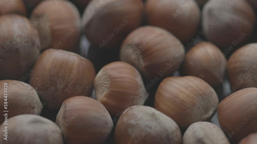 unpeeled nuts hazelnuts rotate in a circle unpeeled nuts hazelnuts rotate in a circle