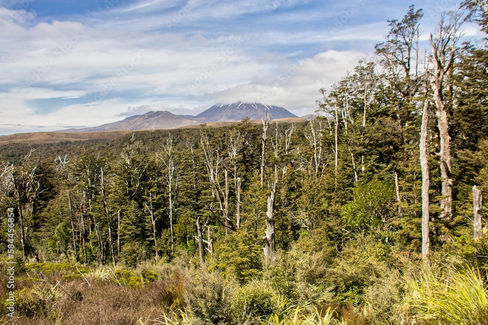 Mont Ngauruhoe Mont Ngauruhoe