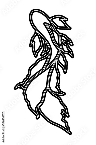 beautiful design vector beauty of colorful betta fish line art logo with beautiful fins for wallpaper or clothing 