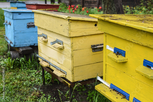 There is a beehive from a tree in the apiary. Multicolored bee houses are placed on the green grass. Private beekeeping enterprise. Honey healthy food products. © Olena