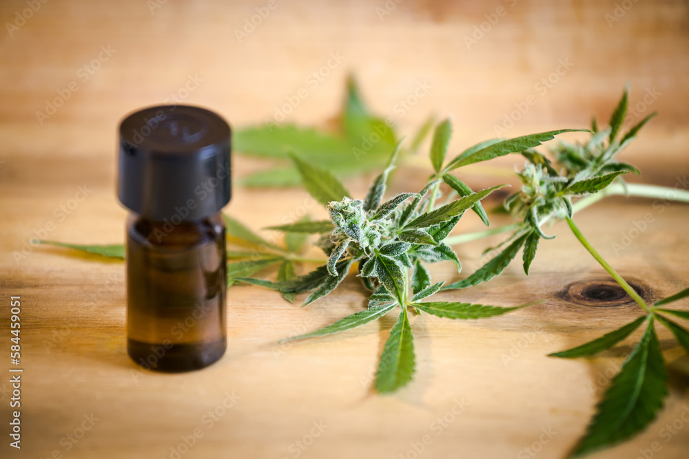 CBD oil Medical cannabis products. Marijuana buds flowers. Hemp herb and leaves for treating, broth, tincture, extract oil in bottle. Non psychoactive component of cannabis. CBD oil Medical cannabis products. Marijuana buds flowers. Hemp herb and leaves for treating, broth, tincture, extract oil in bottle. Non psychoactive component of cannabis.