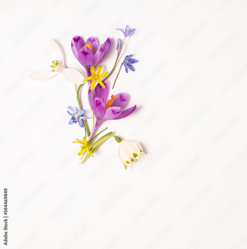 Naklejka premium flower layout from spring flowers on a white background. Top view, flat lay and copy space. Square photo