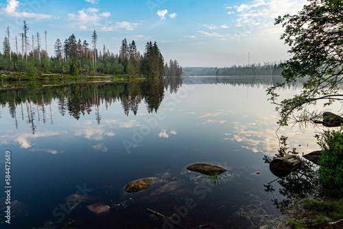 Oderteich im Harz Reflektion