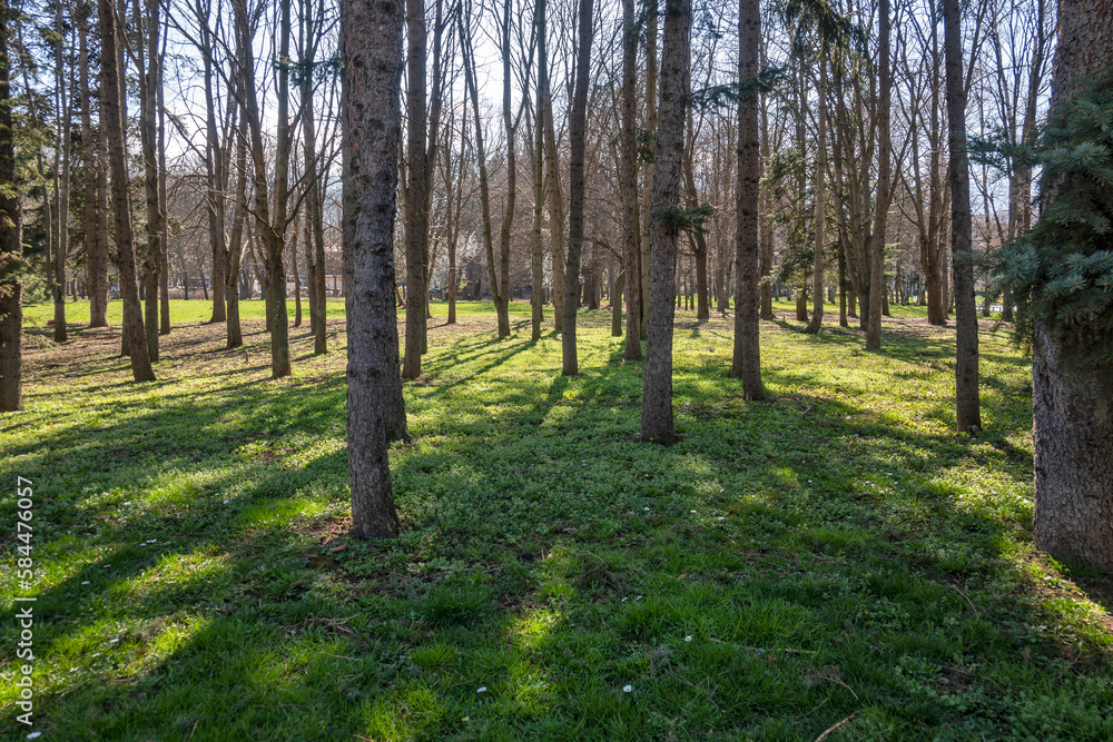 Spring view of South Park in city of Sofia, Bulgaria Spring view of South Park in city of Sofia, Bulgaria