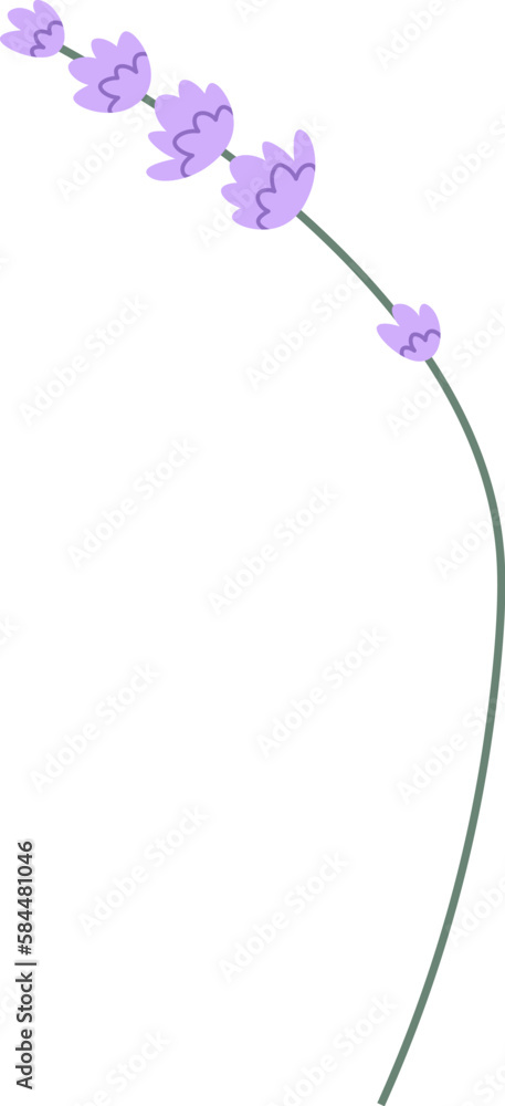 Lavender Flowers Brunch