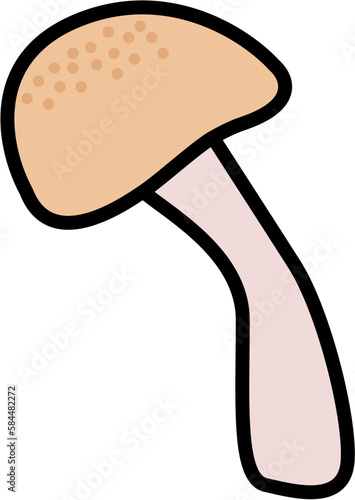 Shimeji cogumelo