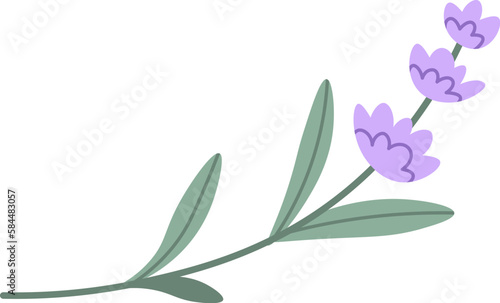 Lavender Flowers Brunch