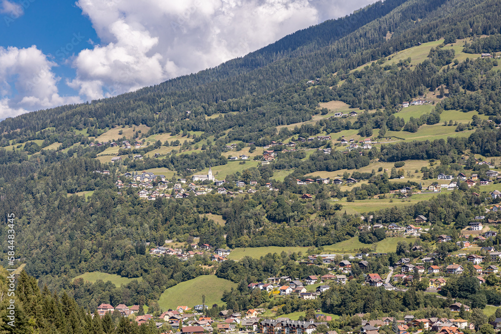 Austrian alpine green meadows in summer