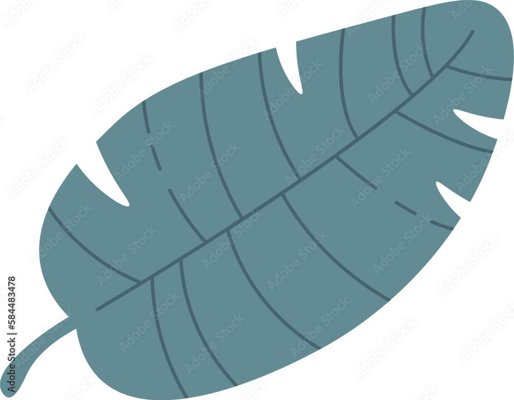 Tropical foliage plant leaf Tropical foliage plant leaf
