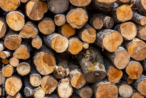 Close-up of a large woodpile
