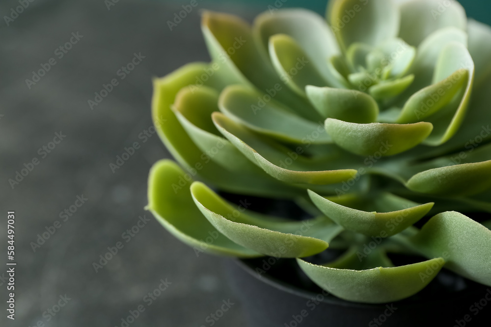 Artificial plant on dark table, closeup Artificial plant on dark table, closeup