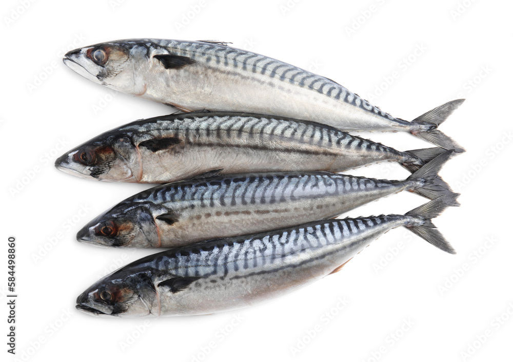 Many tasty raw mackerels isolated on white Many tasty raw mackerels isolated on white