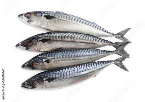 Many tasty raw mackerels isolated on white