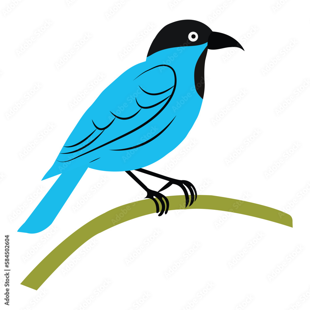 A very beautiful bird vector artwprk A very beautiful bird vector artwprk